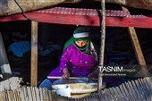 Национальный день деревни и кочевников в Иране