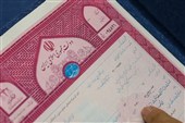 ذخیره احتیاطی نقدی؛ سپر خزانه دولت در برابر شوک‌های مالی
