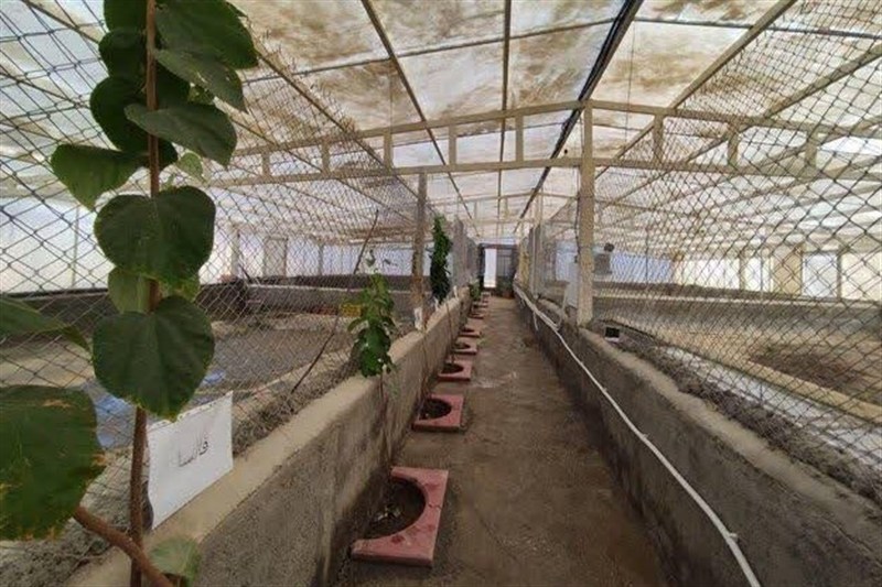 اخبار استان همدان ,