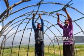 الیوم الوطنی للقریة والعشائر