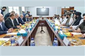 Iran Ready to Share Electricity Industry Experience with Afghanistan