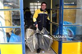 رژه خودرویی ماموران پست همدان به مناسبت روزجهانی پست