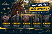 صفر تا 100 خرید لوازم اسب با هورس تیک؛راهنمای انتخاب تجهیزات ضروری اسب