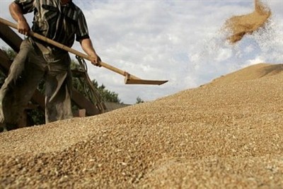 سال زراعی با نرخ نامعلوم و مطالبات معوق؛ کشاورز با چه پولی بکارد؟