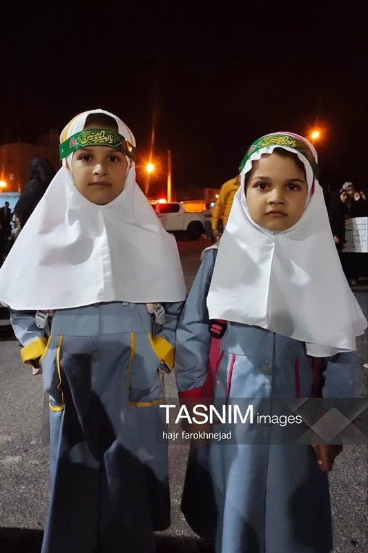 اخبار استان خراسان جنوبی , خبرگزاری تسنیم ,