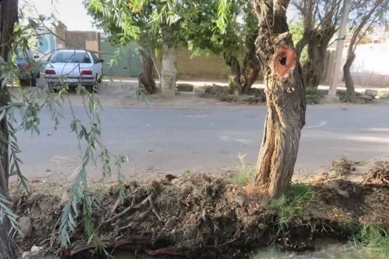 اخبار استان خراسان جنوبی , خبرگزاری تسنیم , اخبار فردوس ,