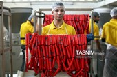 اشتغال‌زایی در مسیر تأمین امنیت غذایی؛ از بسته‌بندی مرغ تا تولید فرآورده‌های گوشتی در ملایر