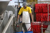 اشتغال‌زایی در مسیر تأمین امنیت غذایی؛ از بسته‌بندی مرغ تا تولید فرآورده‌های گوشتی در ملایر