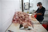 اشتغال‌زایی در مسیر تأمین امنیت غذایی؛ از بسته‌بندی مرغ تا تولید فرآورده‌های گوشتی در ملایر
