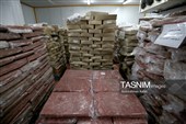 اشتغال‌زایی در مسیر تأمین امنیت غذایی؛ از بسته‌بندی مرغ تا تولید فرآورده‌های گوشتی در ملایر