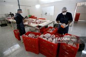 اشتغال‌زایی در مسیر تأمین امنیت غذایی؛ از بسته‌بندی مرغ تا تولید فرآورده‌های گوشتی در ملایر