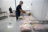 اشتغال‌زایی در مسیر تأمین امنیت غذایی؛ از بسته‌بندی مرغ تا تولید فرآورده‌های گوشتی در ملایر