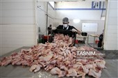 اشتغال‌زایی در مسیر تأمین امنیت غذایی؛ از بسته‌بندی مرغ تا تولید فرآورده‌های گوشتی در ملایر