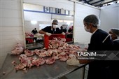 اشتغال‌زایی در مسیر تأمین امنیت غذایی؛ از بسته‌بندی مرغ تا تولید فرآورده‌های گوشتی در ملایر