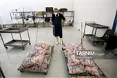 اشتغال‌زایی در مسیر تأمین امنیت غذایی؛ از بسته‌بندی مرغ تا تولید فرآورده‌های گوشتی در ملایر