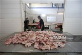 اشتغال‌زایی در مسیر تأمین امنیت غذایی؛ از بسته‌بندی مرغ تا تولید فرآورده‌های گوشتی در ملایر