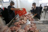 اشتغال‌زایی در مسیر تأمین امنیت غذایی؛ از بسته‌بندی مرغ تا تولید فرآورده‌های گوشتی در ملایر
