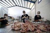 اشتغال‌زایی در مسیر تأمین امنیت غذایی؛ از بسته‌بندی مرغ تا تولید فرآورده‌های گوشتی در ملایر