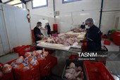 اشتغال‌زایی در مسیر تأمین امنیت غذایی؛ از بسته‌بندی مرغ تا تولید فرآورده‌های گوشتی در ملایر