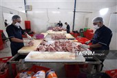 اشتغال‌زایی در مسیر تأمین امنیت غذایی؛ از بسته‌بندی مرغ تا تولید فرآورده‌های گوشتی در ملایر