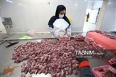 اشتغال‌زایی در مسیر تأمین امنیت غذایی؛ از بسته‌بندی مرغ تا تولید فرآورده‌های گوشتی در ملایر