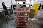 اشتغال‌زایی در مسیر تأمین امنیت غذایی؛ از بسته‌بندی مرغ تا تولید فرآورده‌های گوشتی در ملایر