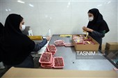 اشتغال‌زایی در مسیر تأمین امنیت غذایی؛ از بسته‌بندی مرغ تا تولید فرآورده‌های گوشتی در ملایر