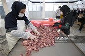 اشتغال‌زایی در مسیر تأمین امنیت غذایی؛ از بسته‌بندی مرغ تا تولید فرآورده‌های گوشتی در ملایر