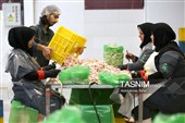 اشتغال‌زایی در مسیر تأمین امنیت غذایی؛ از بسته‌بندی مرغ تا تولید فرآورده‌های گوشتی در ملایر
