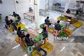 اشتغال‌زایی در مسیر تأمین امنیت غذایی؛ از بسته‌بندی مرغ تا تولید فرآورده‌های گوشتی در ملایر
