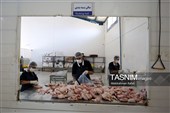 اشتغال‌زایی در مسیر تأمین امنیت غذایی؛ از بسته‌بندی مرغ تا تولید فرآورده‌های گوشتی در ملایر
