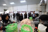 اشتغال‌زایی در مسیر تأمین امنیت غذایی؛ از بسته‌بندی مرغ تا تولید فرآورده‌های گوشتی در ملایر