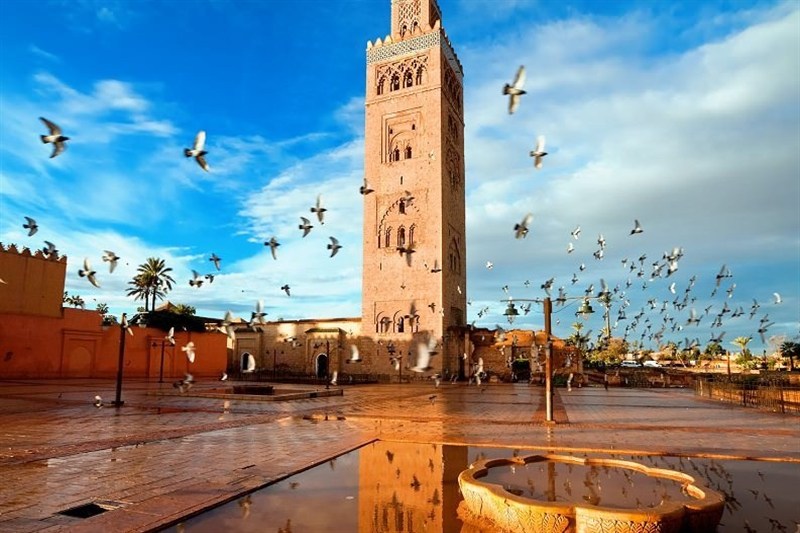 رژیم صهیونیستی (اسرائیل) , کشور فلسطین , کشور مراکش | کشور مغرب , تیم ملی فوتبال مراکش , مسلمان , جشنواره های سینمایی , فرهنگ و هنر , 