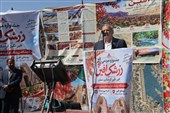 افین؛ قطب گردشگری زرشک ایران با تکمیل زنجیره ارزش این محصول
