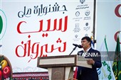 جشنواره سیب شیروان