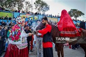 جشنواره سیب شیروان