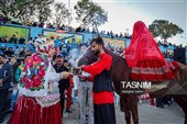 المهرجان الوطنی للتفاح فی شیروان