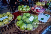 المهرجان الوطنی للتفاح فی شیروان