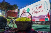 المهرجان الوطنی للتفاح فی شیروان