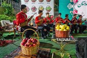 المهرجان الوطنی للتفاح فی شیروان