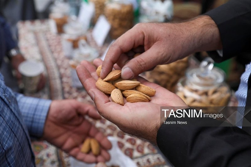 اخبار استان چهارمحال و بختیاری , اخبار شهرکرد , 
