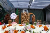 سومین جشنواره ملی بادام به میزبانی چهارمحال و بختیاری
