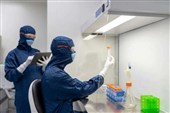 بازگشت آزمایشگاه مرجع طاعون به مدار؛چه زمانی نگران «مرگ سیاه» باشیم؟