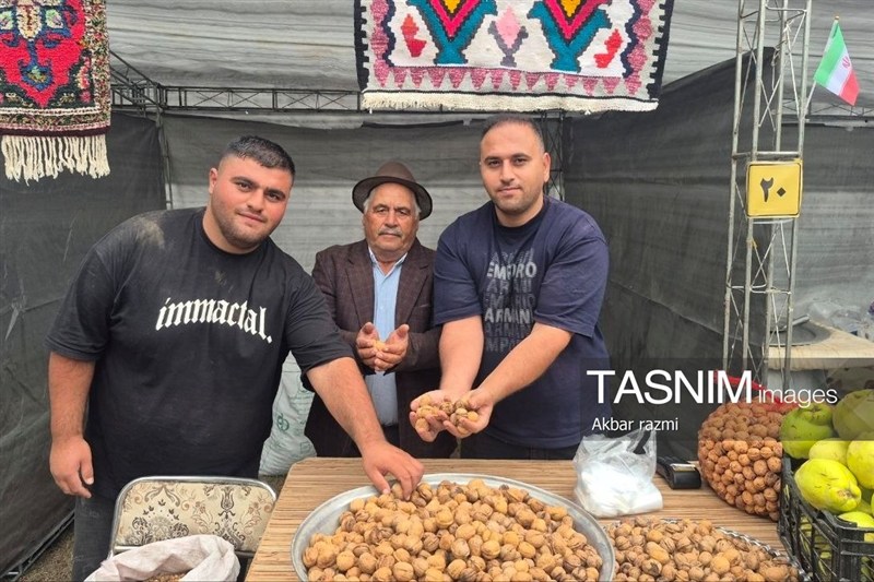 استقبال پرشور از سومین جشنواره ملی گردوی ثمرین