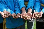 جشنواره منطقه ای بازیهای بومی و محلی در همدان