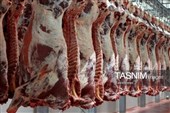 تولید 4500 تن گوشت قرمز و مرغ در نیمه نخست امسال در کهگیلویه