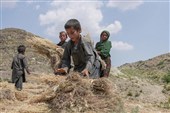 سازمان ملل: 1500 کودک در افغانستان طی سه سال کشته یا زخمی شده‌اند