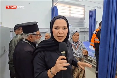 تقرير تسنيم|موسم دامٍ لقطاف الزيتون في الضفة الغربية.. اعتداءات المستوطنين تطال الأرض وأصحابها