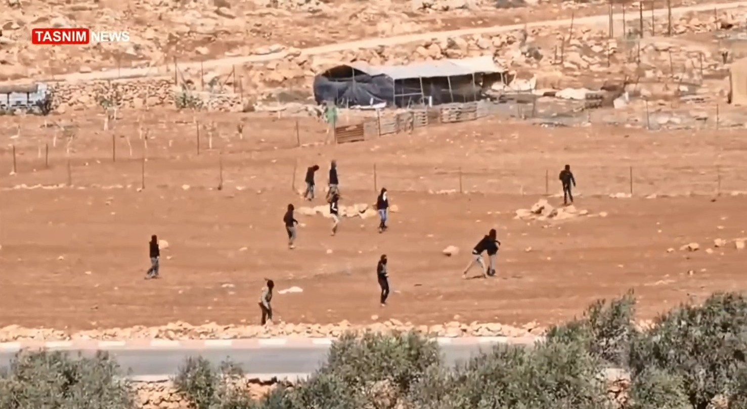 الضفة الغربية , فلسطين المحتلة , الكيان الإسرائيلي , شجرة الزيتون ,