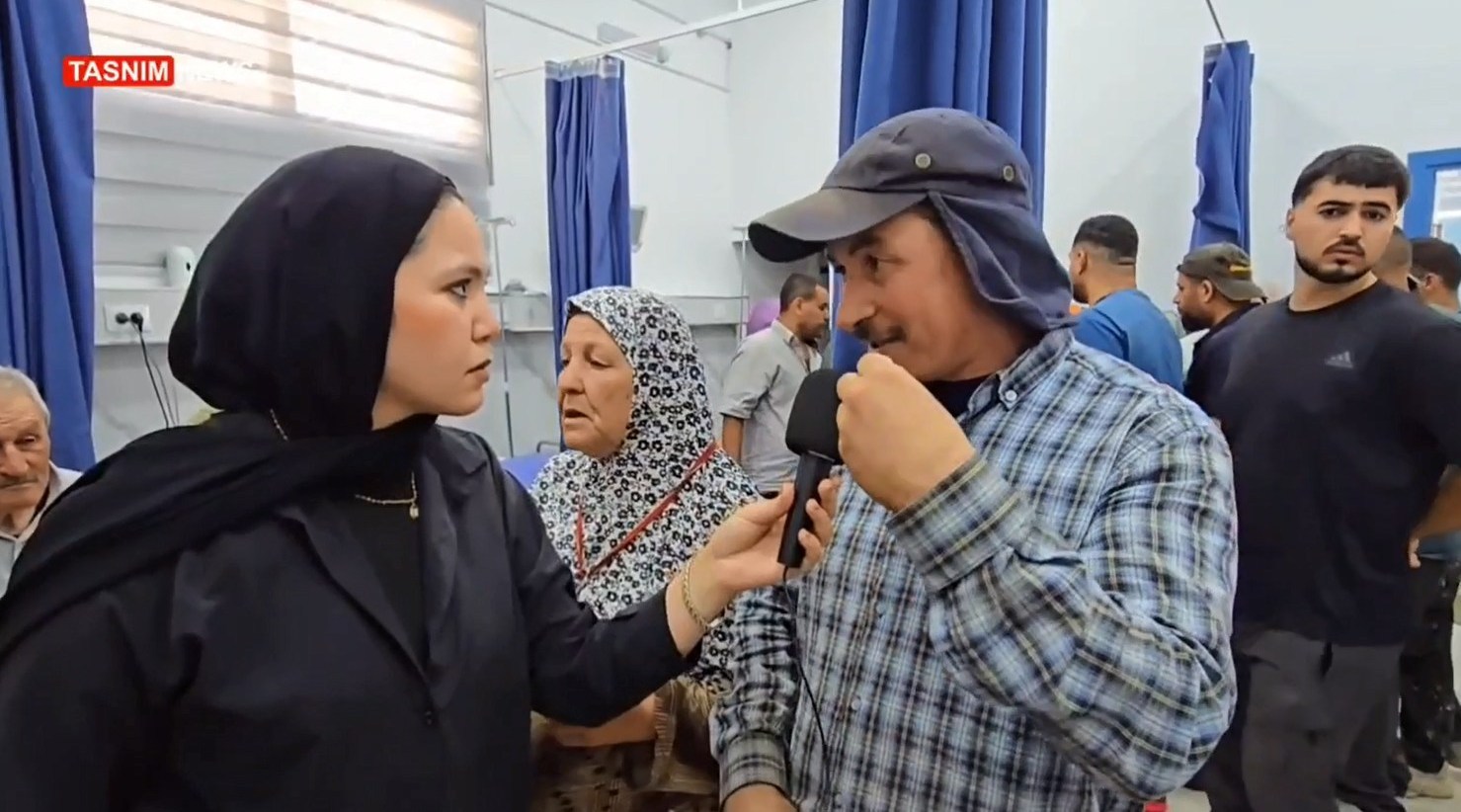 الضفة الغربية , فلسطين المحتلة , الكيان الإسرائيلي , شجرة الزيتون ,
